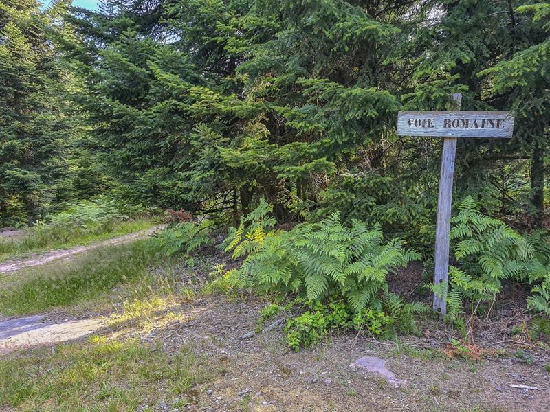 Circuit du chemin d'allemagne Raon-sur-Plaine Grand Est