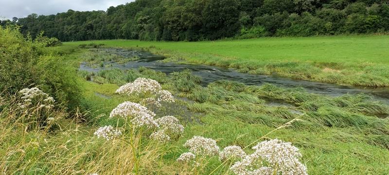Circuit de Bazoilles-sur-Meuse Bazoilles-sur-Meuse Grand Est