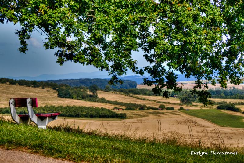 Circuit de Notre-Dame Maconcourt Grand Est