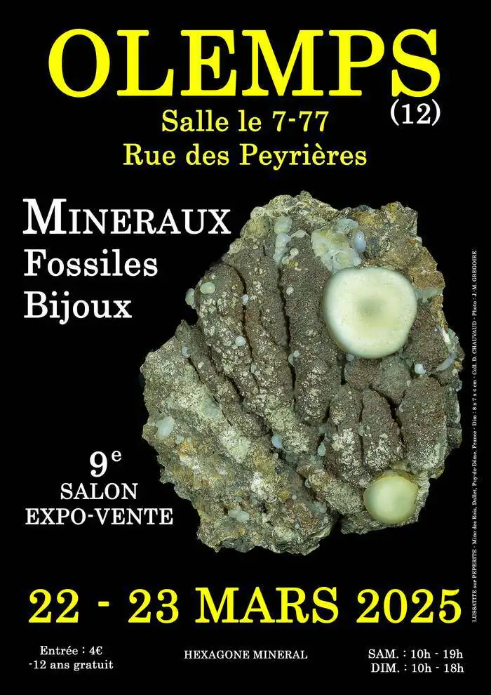 9e SALON MINERAUX FOSSILES BIJOUX de OLEMPS (Aveyron) Salle multigénérations Olemps