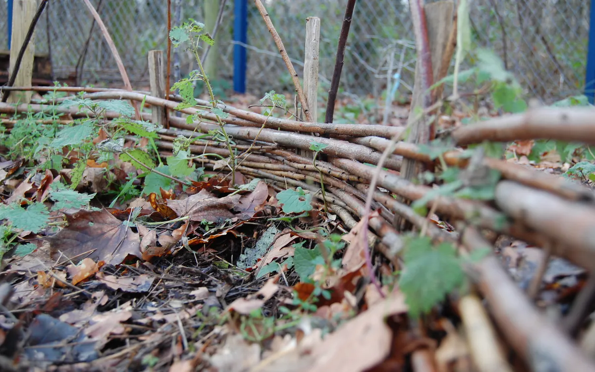 A l'école de la permaculture La Ferme de Paris Paris