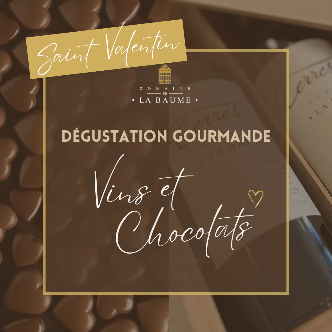 DÉGUSTATION GOURMANDE: VINS ET CHOCOLATS