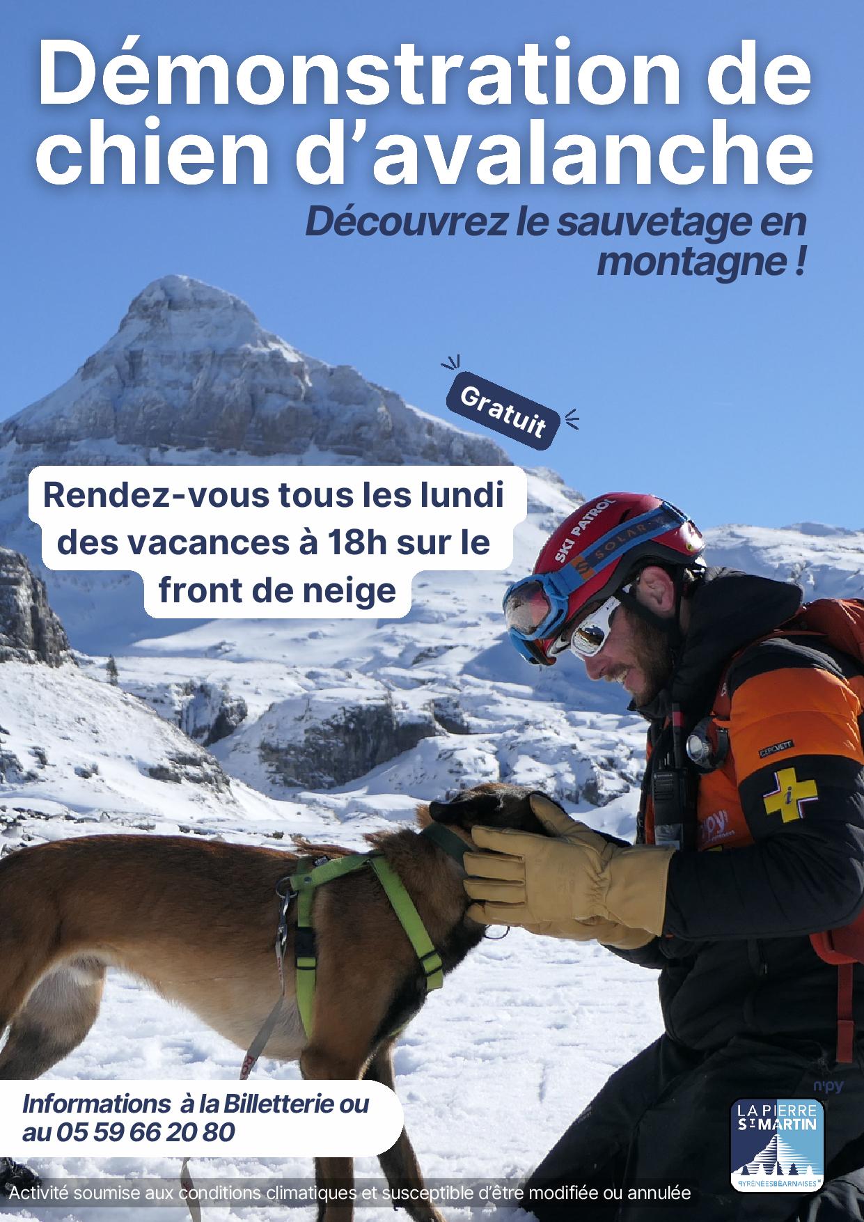 Démonstration de recherche avec un chien d’avalanche