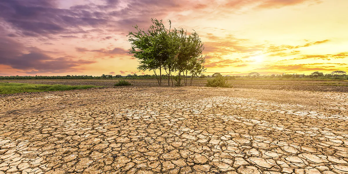 Conférence UPOP "Le changement climatique"