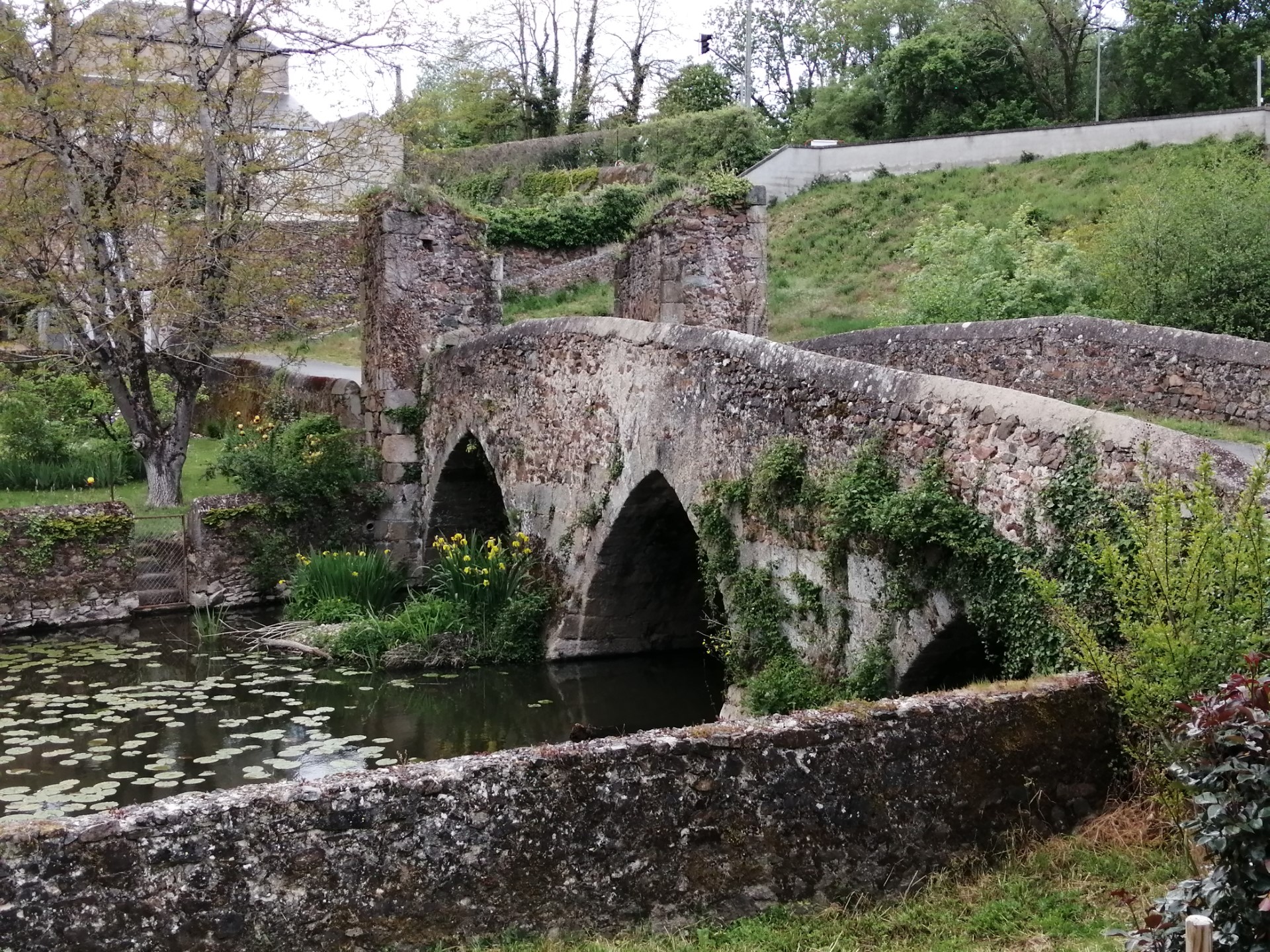 Visite guidée Portes et ponts de la cité médiévale