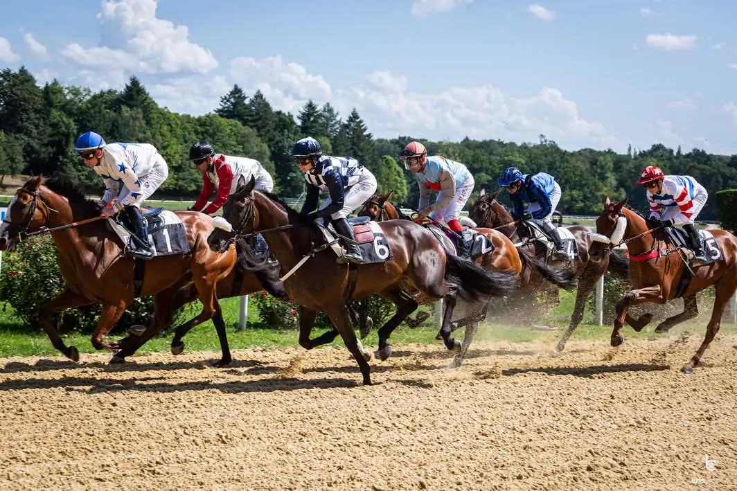 Courses hippiques Fête du cheval