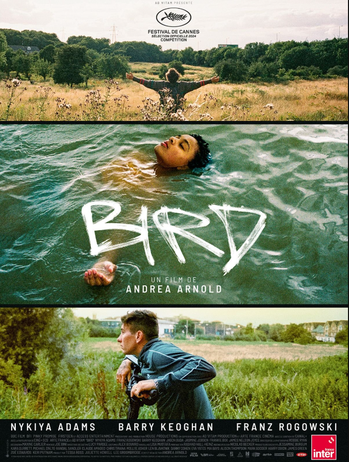 Cinéma Arudy Bird VOSTFR