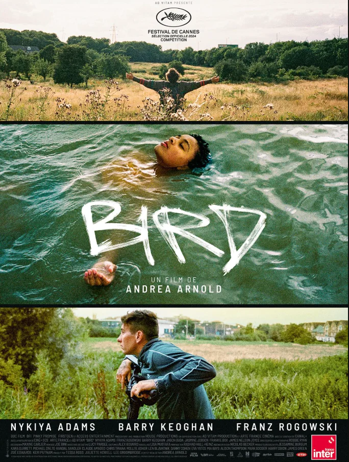 Cinéma Arudy Bird VOSTFR