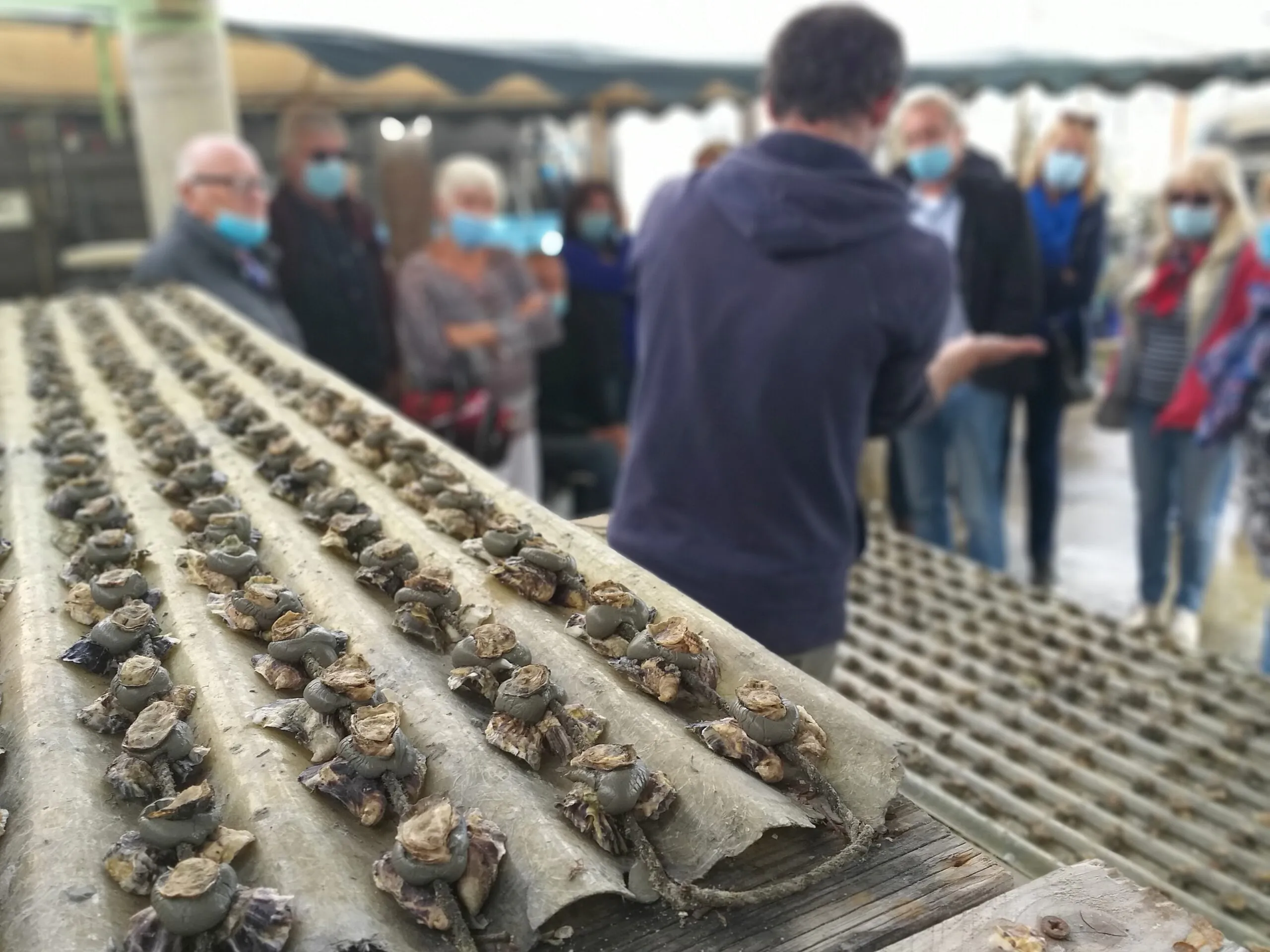 VISITE AUTOUR DE LA LAGUNE EN MINI-BUS AVEC SÈTE GRAND TOUR