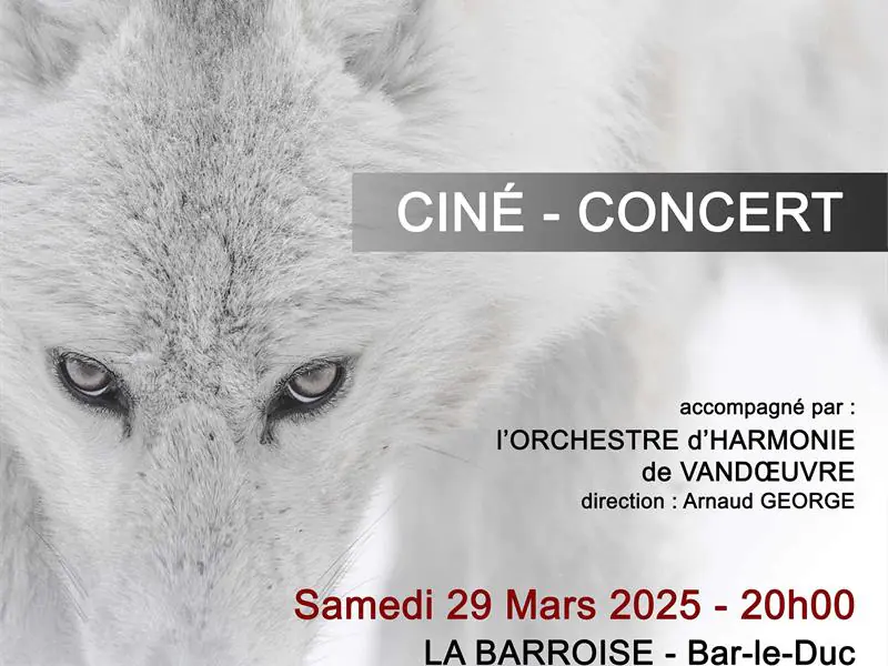 CINÉ CONCERT FRAGMENTS ET VARIATIONS SAUVAGES