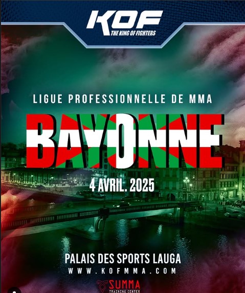 Ligue professionnelle de MMA