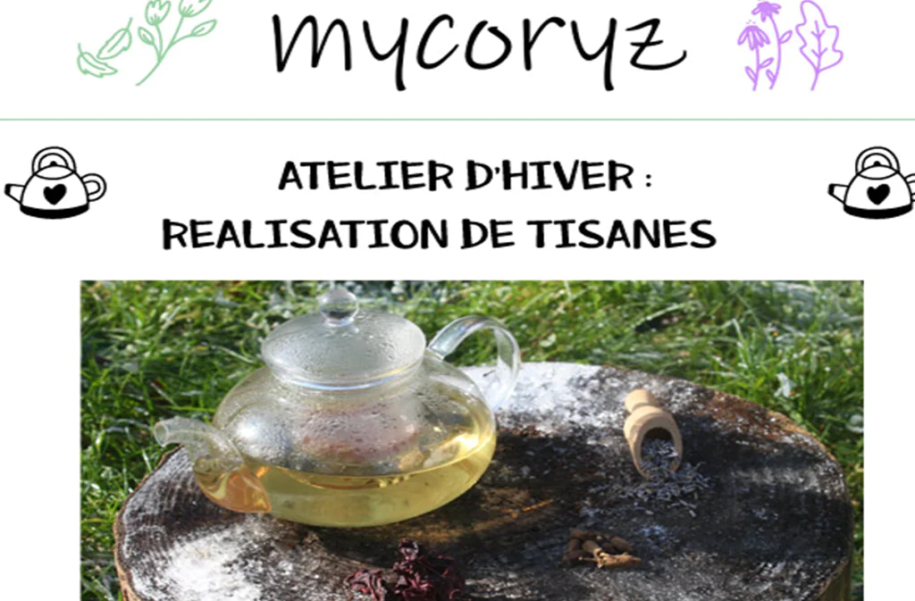 Atelier d'hiver réalisation de tisanes