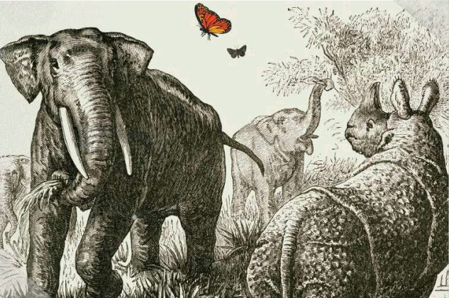 betes animaux expo trégarvan