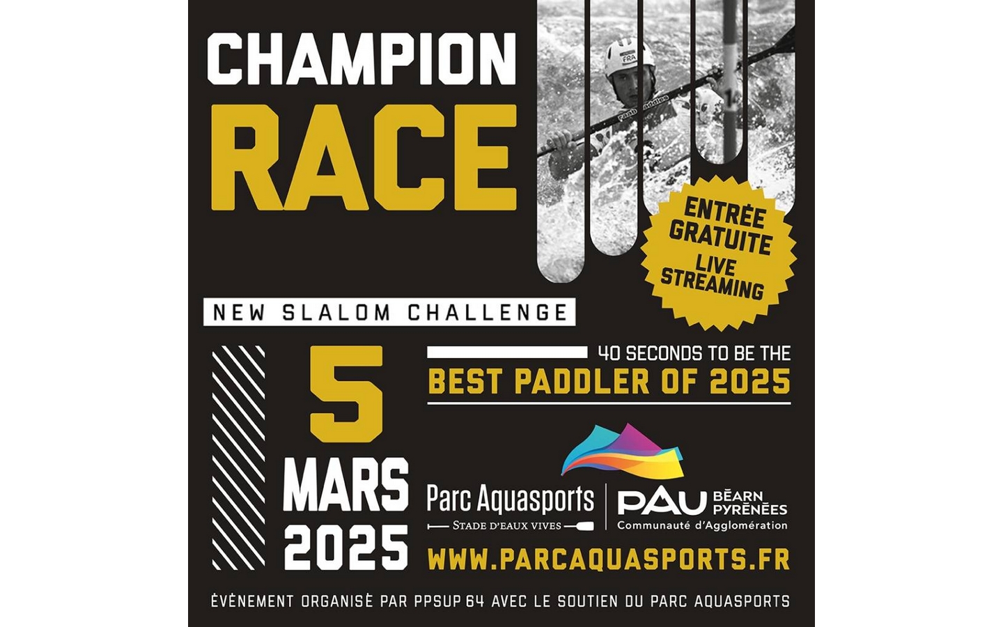 Champion race New slalom challenge