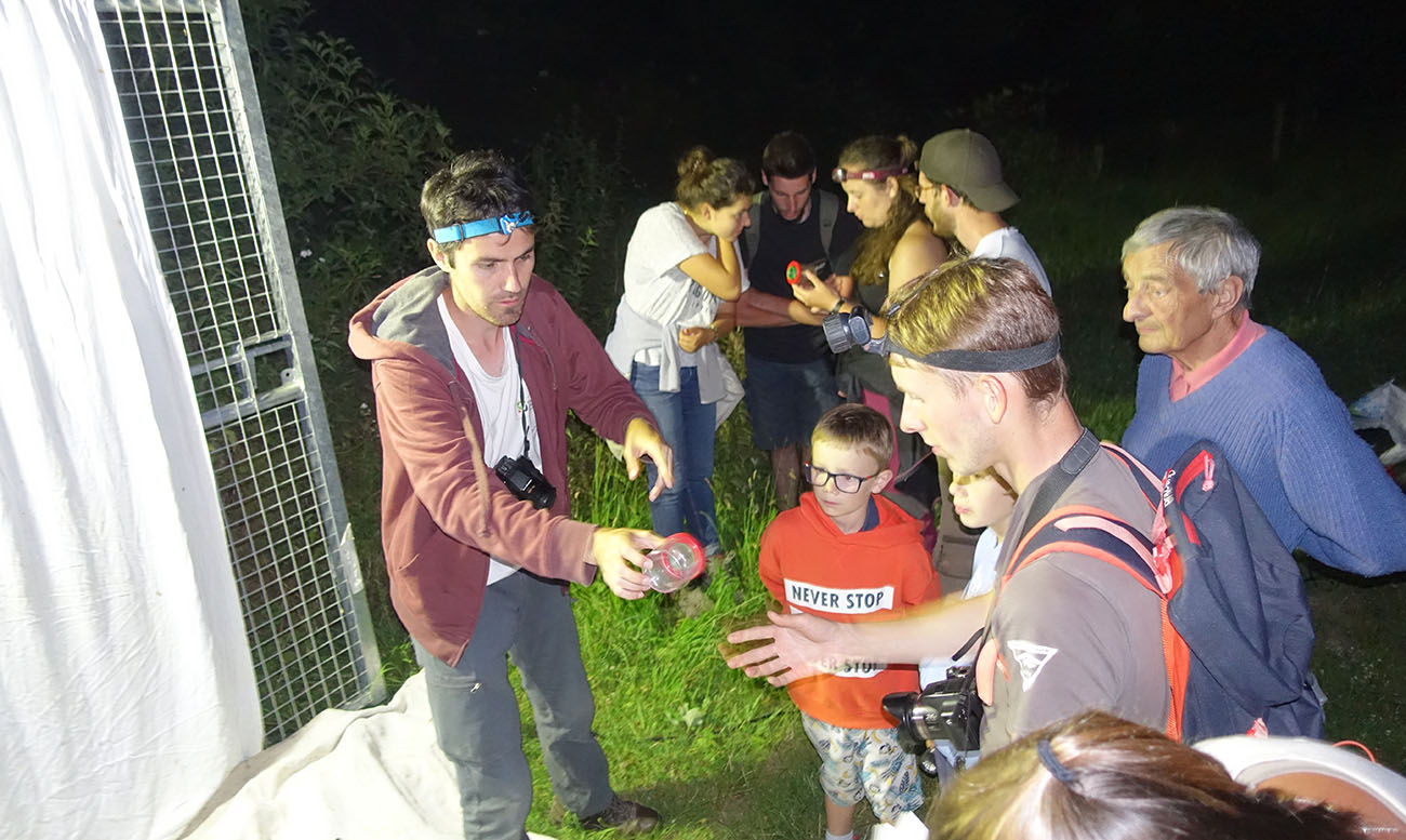 Sortie nature à Bouconville-Vauclair "Vol de nuit chez les papillons"