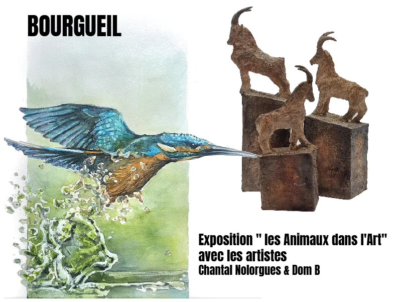 Exposition " les Animaux dans l'Art" avec les artistes Chantal Nolorgues & Dom B