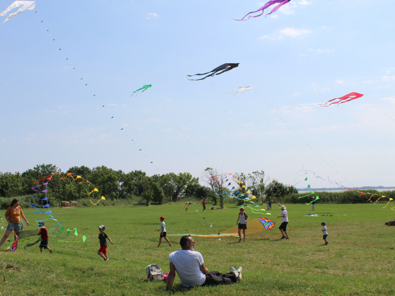 Fête du Vent à Terres d'Oiseaux