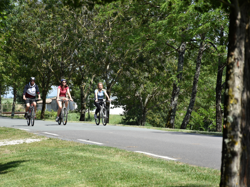 Vendredi vélo à Terres d'Oiseaux