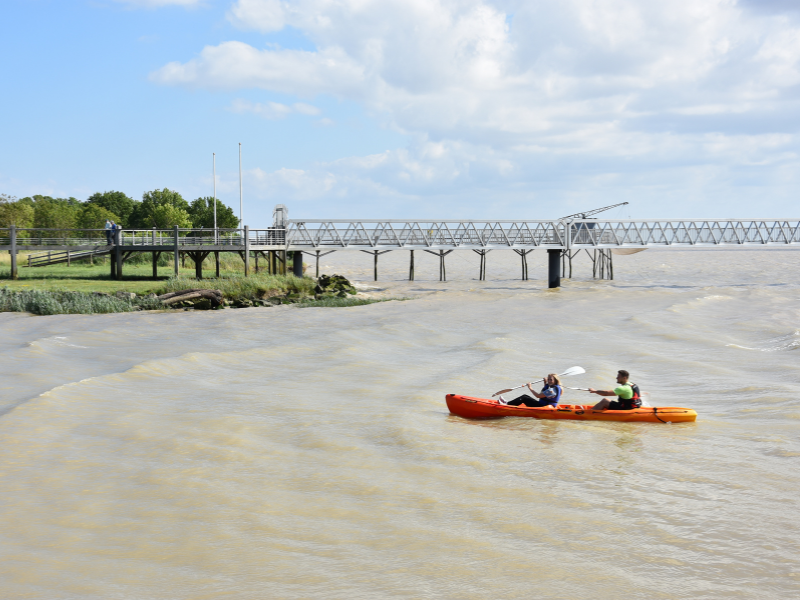 Sortie kayak à Terres d'Oiseaux