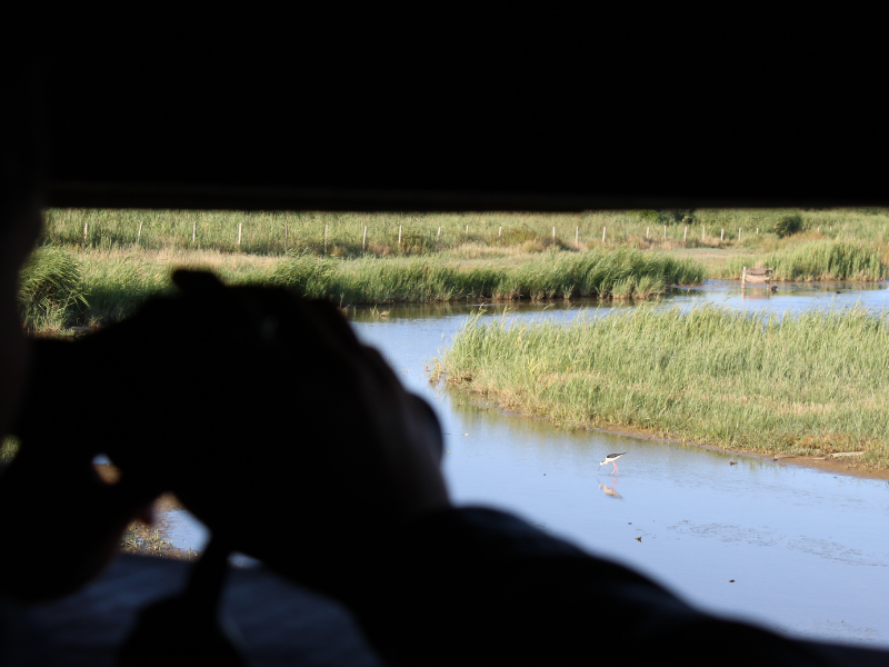 Apéro nature nocturne à Terres d'Oiseaux