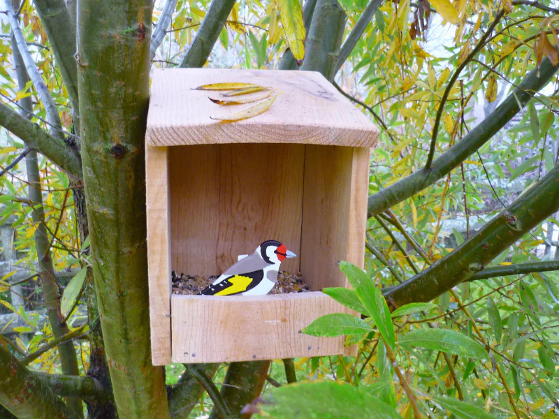 Construction d'une mangeoire à oiseaux à Terres d'oiseaux