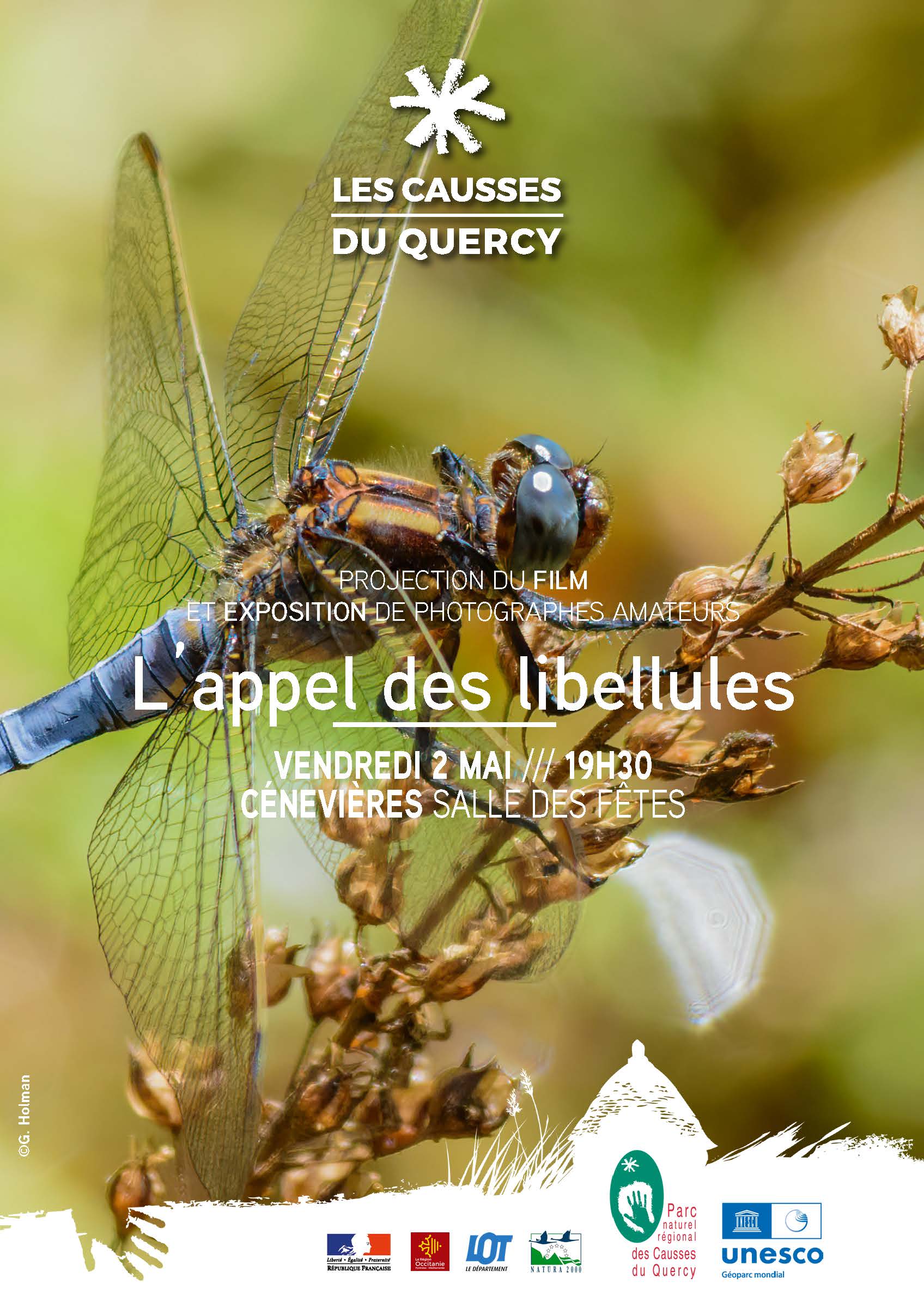 L'appel des libellules