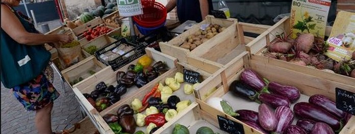 MARCHÉ DE PRODUCTEURS