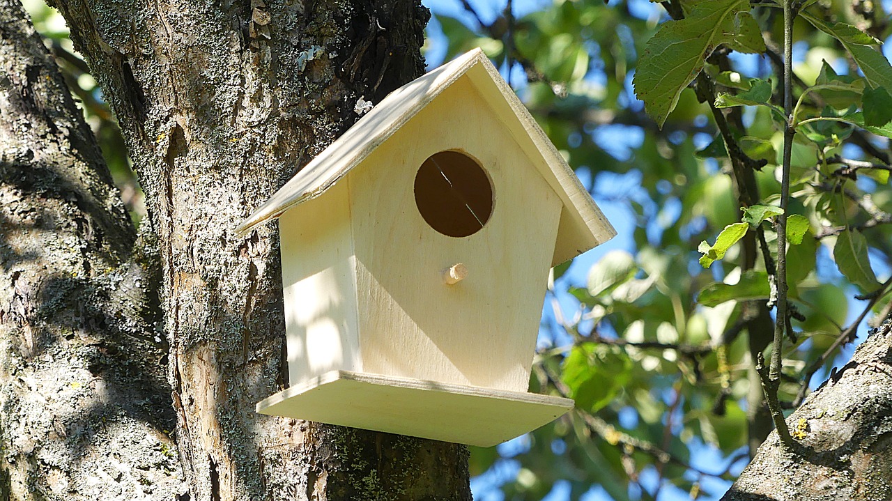 Atelier vannerie Fabrication de nichoir à oiseaux