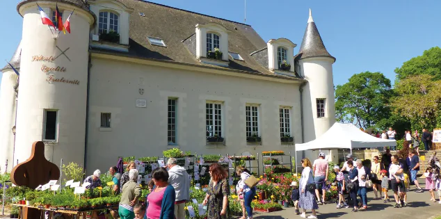 Marché aux plantes