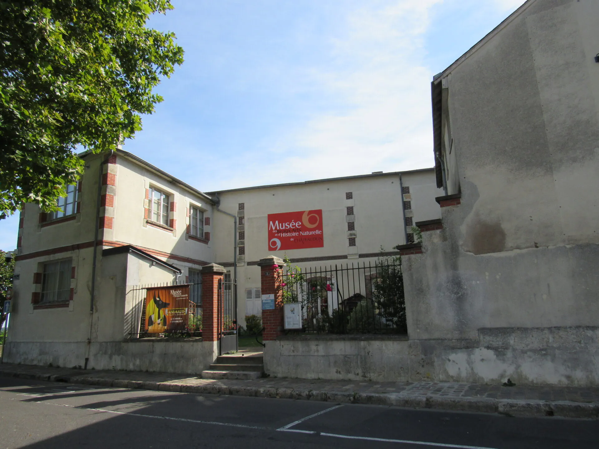 Visite guidée thématique au musée de Châteaudun – La classification des animaux