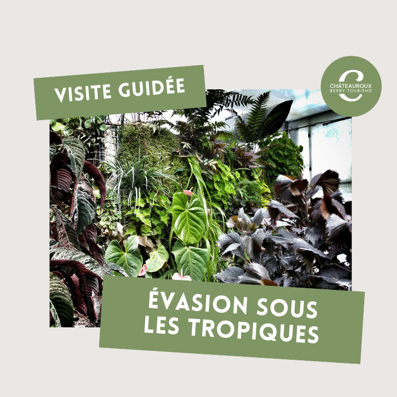 Évasion sous les tropiques