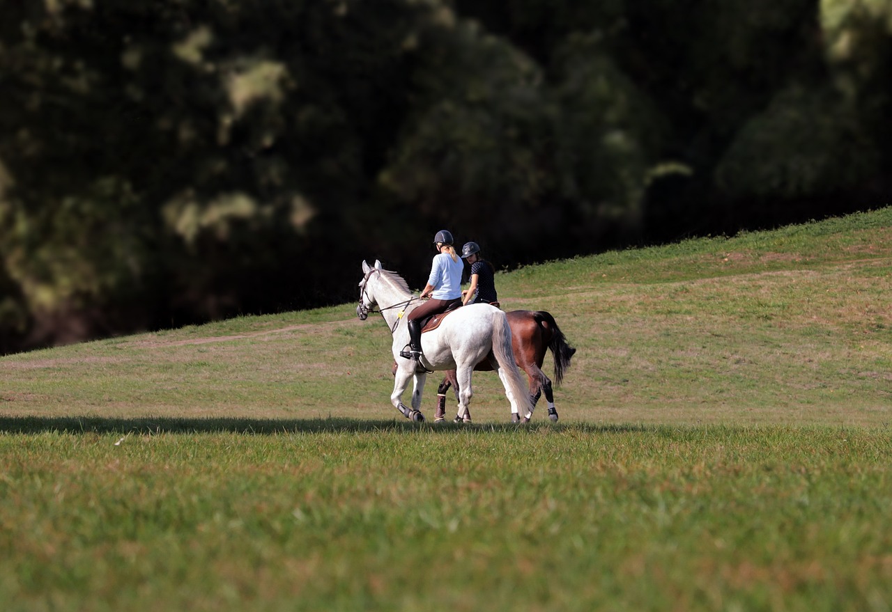 TREC de la Ménigaudière randonnée équestre