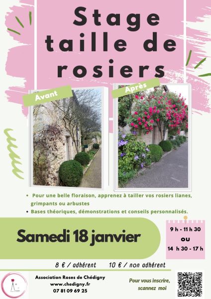 Stage de taille de rosiers