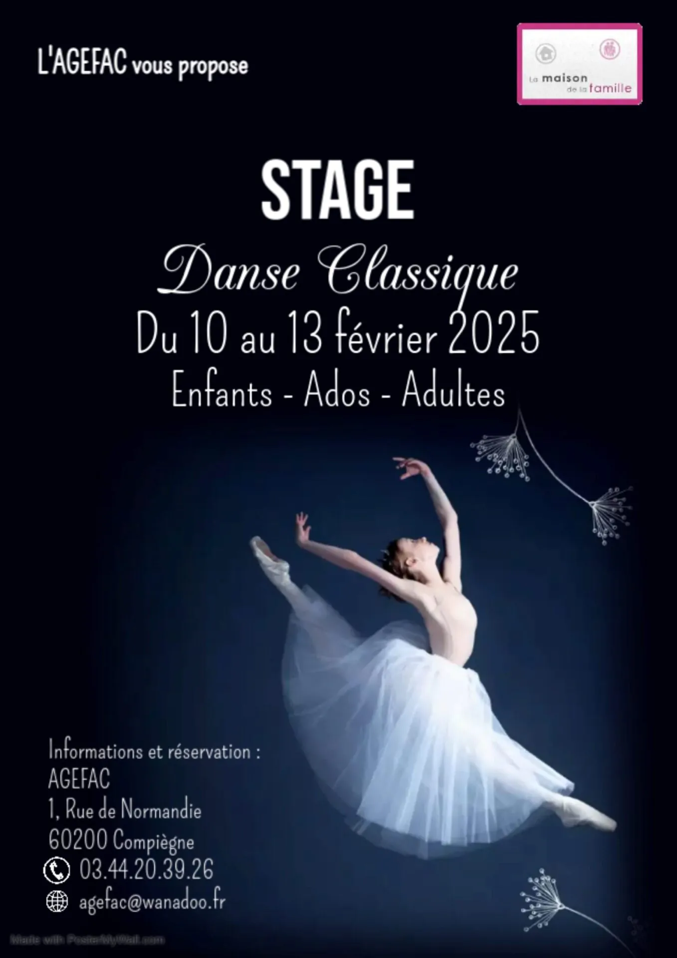 Stage de danse classique