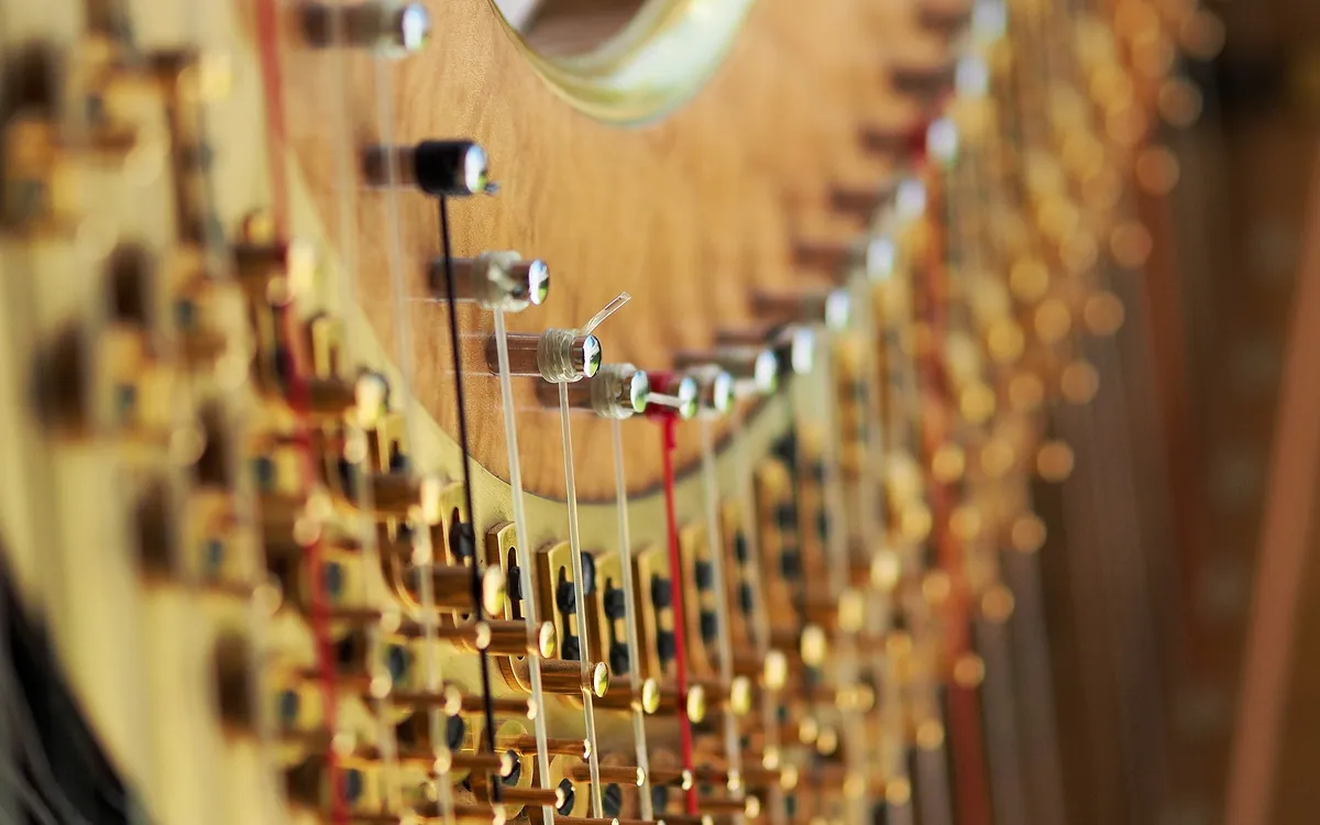 Concert de harpe par les élèves du conservatoire Mozart Bibliothèque historique de la Ville de Paris (BHVP) Paris