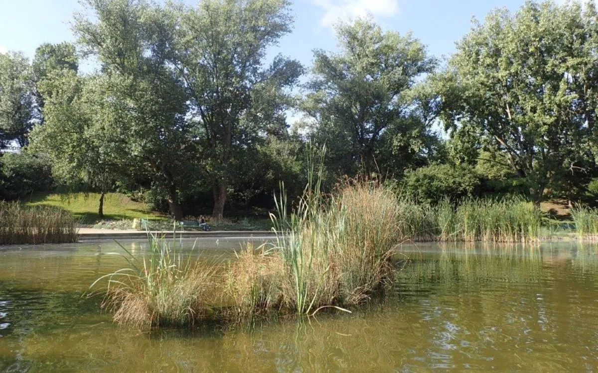 Conférence L'eau dans les jardins Maison du Jardinage - Pôle ressource Jardinage Urbain Paris