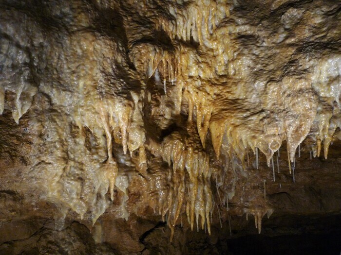 Conférence "Sous terre