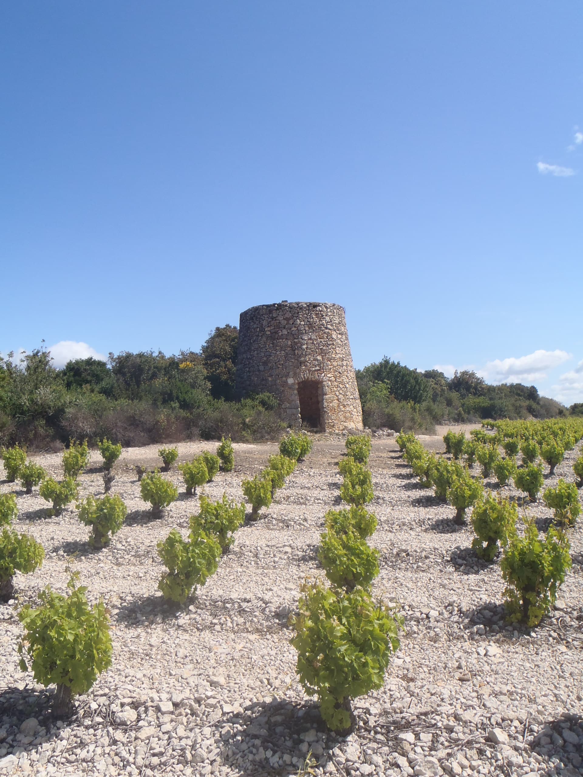 OENORANDO® DU PETIT GRAIN Saint-Jean-de-Minervois Occitanie
