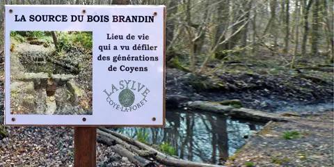 Entretien de la source du Bois Brandin à Coye-la-Forêt