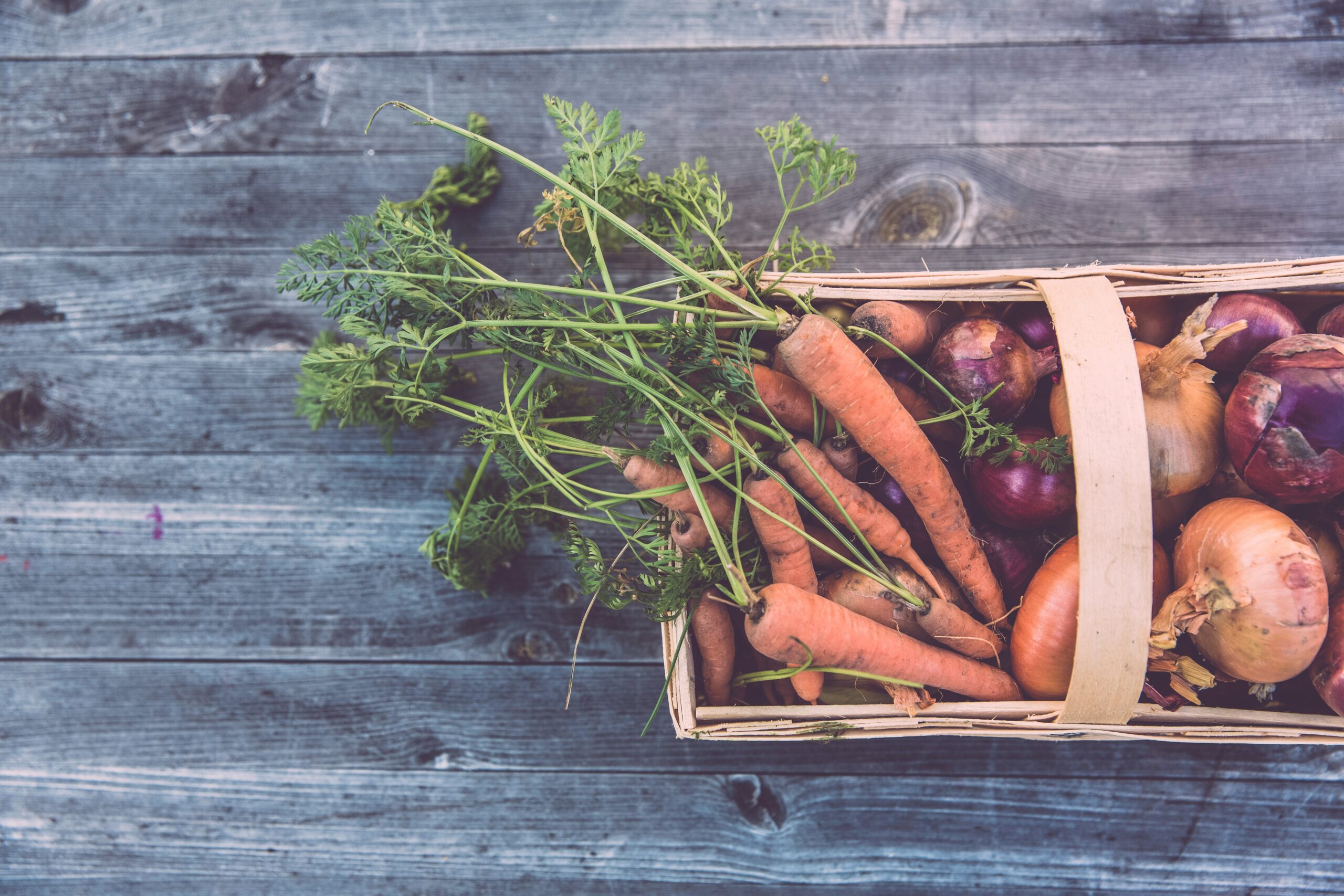 Marché estival des producteurs de Creysse