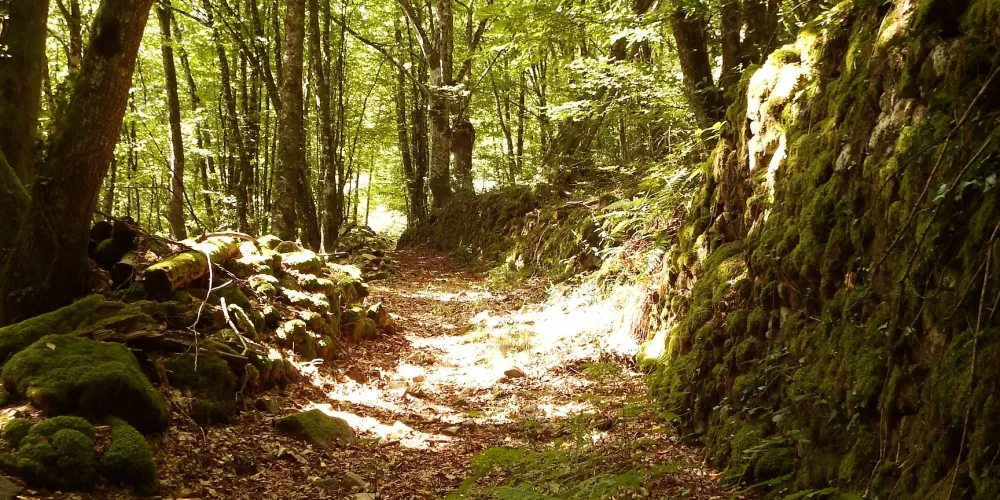 Vallée du Doustre Gros-Chastang Nouvelle-Aquitaine