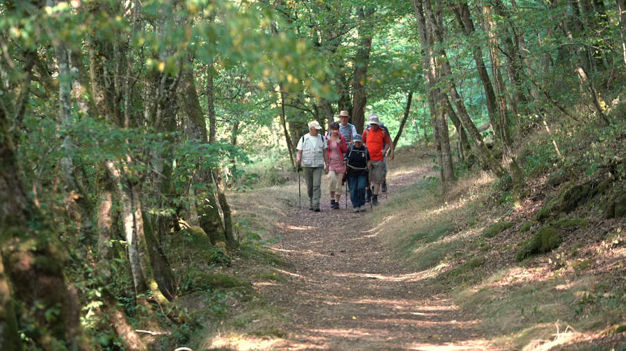 Randonnée pédestre les rochers de Bord