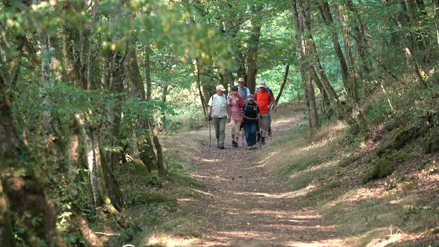 Randonnée pédestre les rochers de Bord