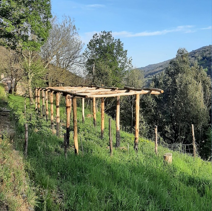 Montage d'une treille en châtaignier Ferme cévenole Chamborigaud