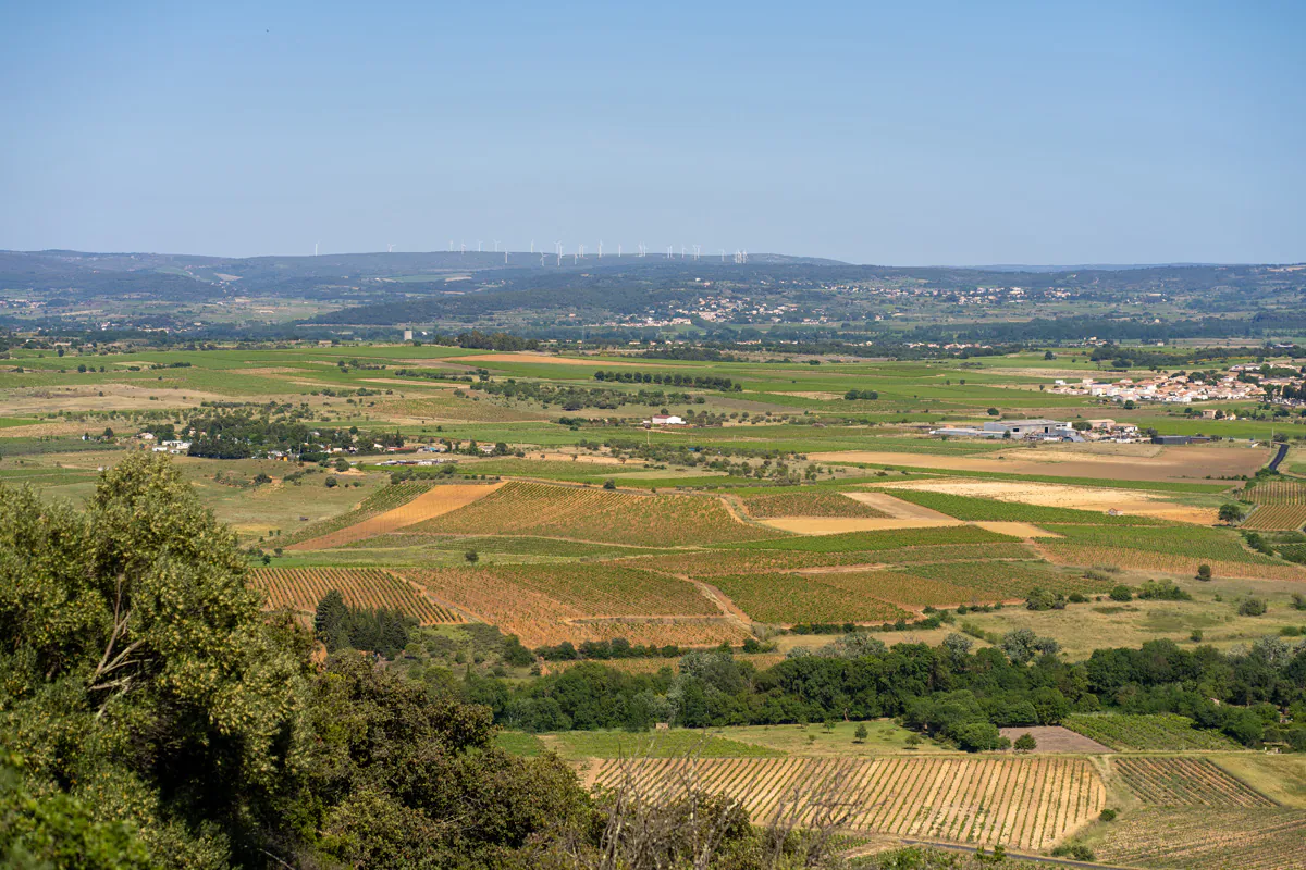 VIGNES ET VOLCANS