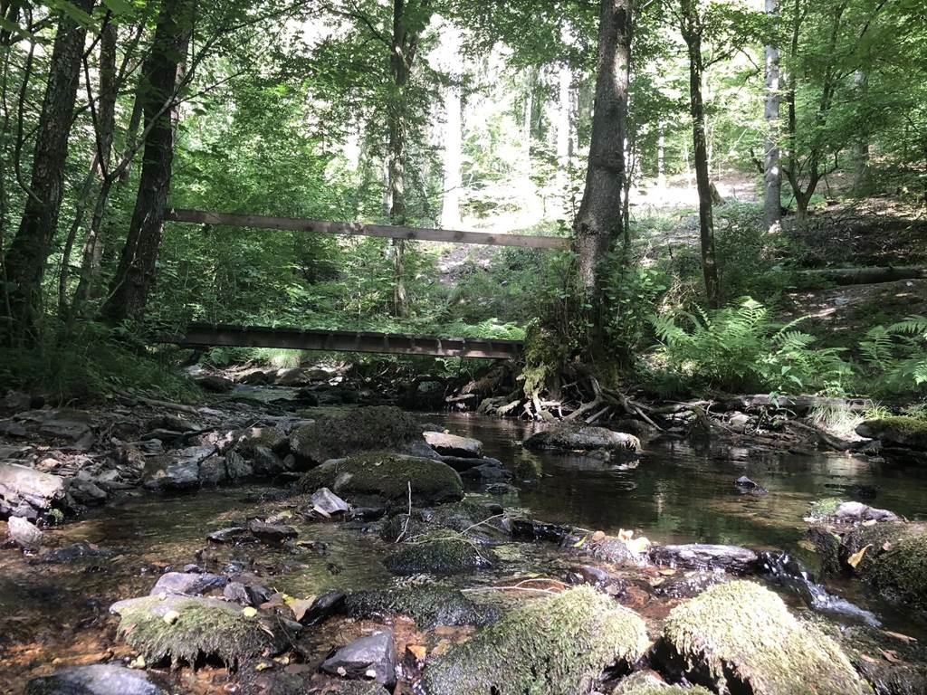 Balade dans la forêt de Sedan La Chapelle Grand Est