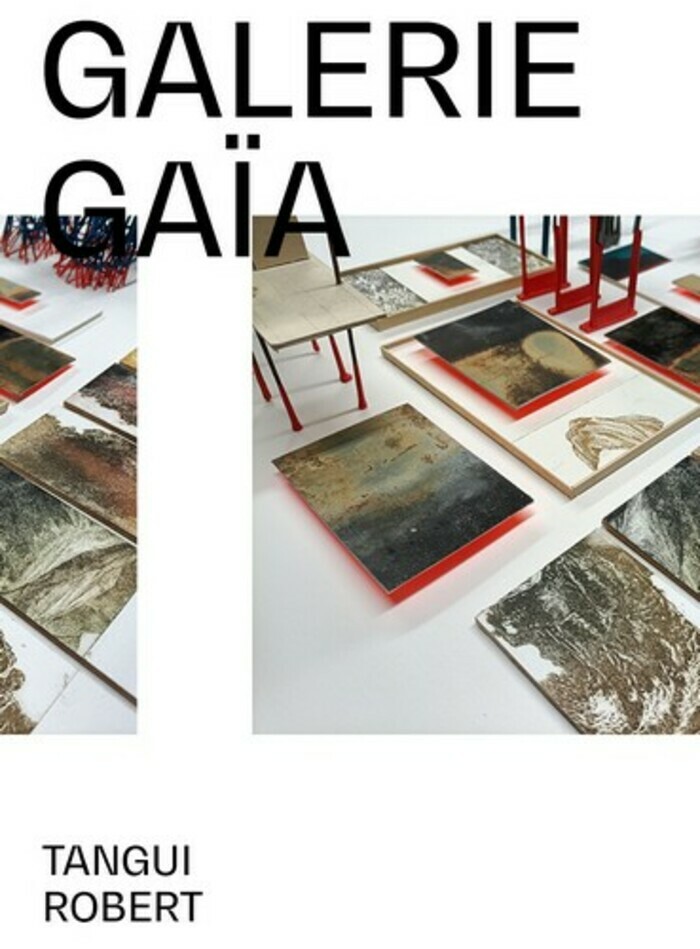 Exposition de Tangui Robert Galerie Gaïa  - art contemporain