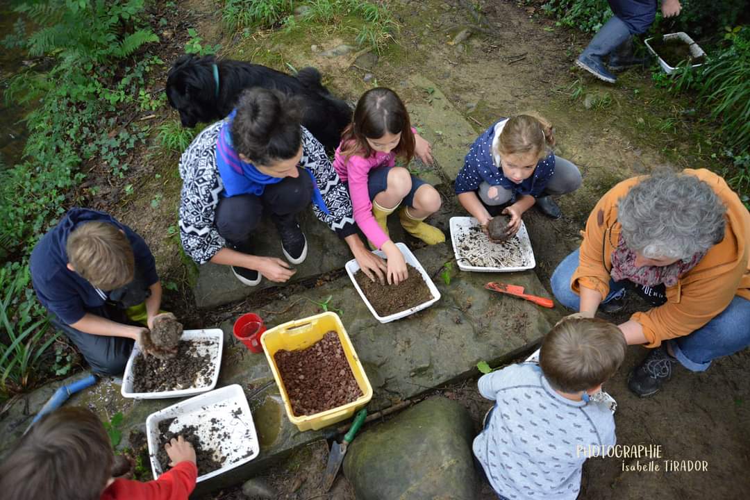 Stage créatif "Il était une fois en forêt"