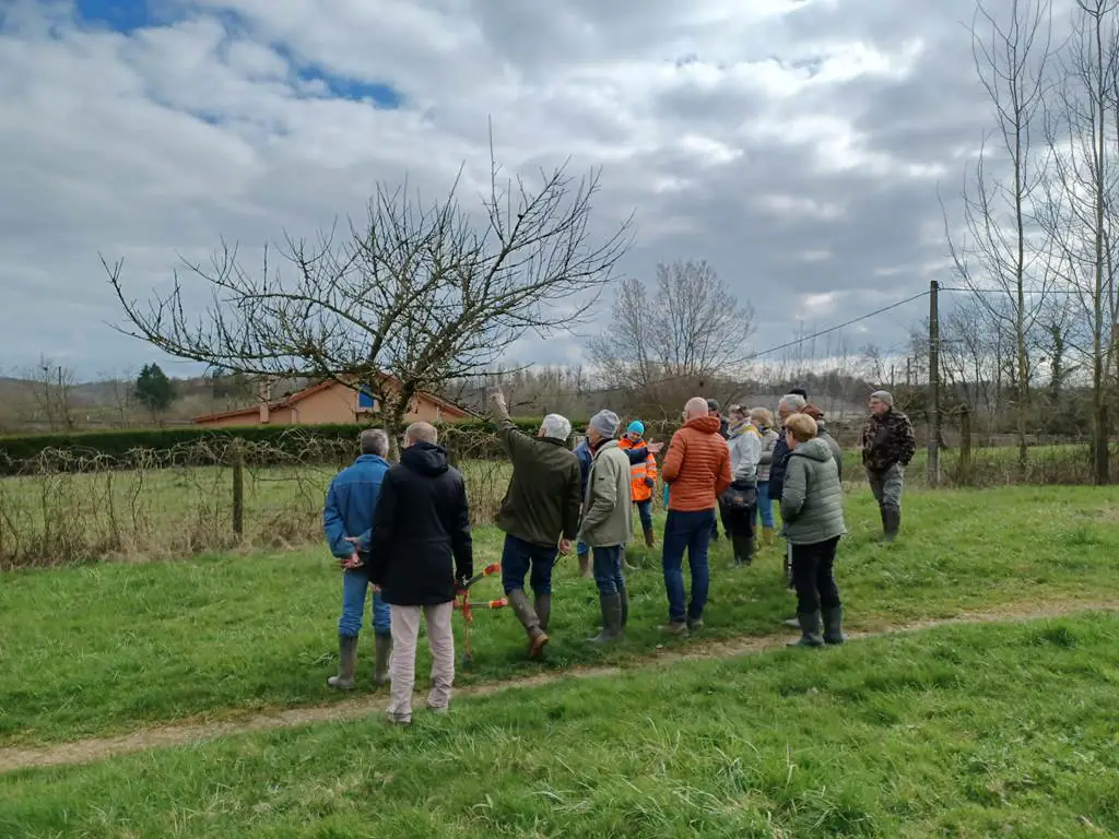 Taille et greffe au verger