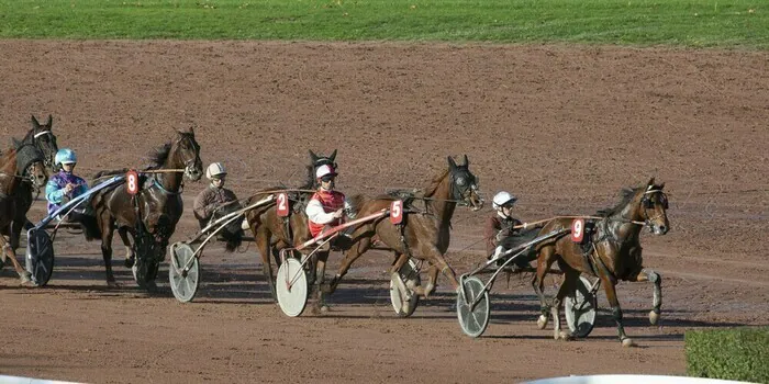 Courses hippiques : Trot Hippodrome du Petit Port